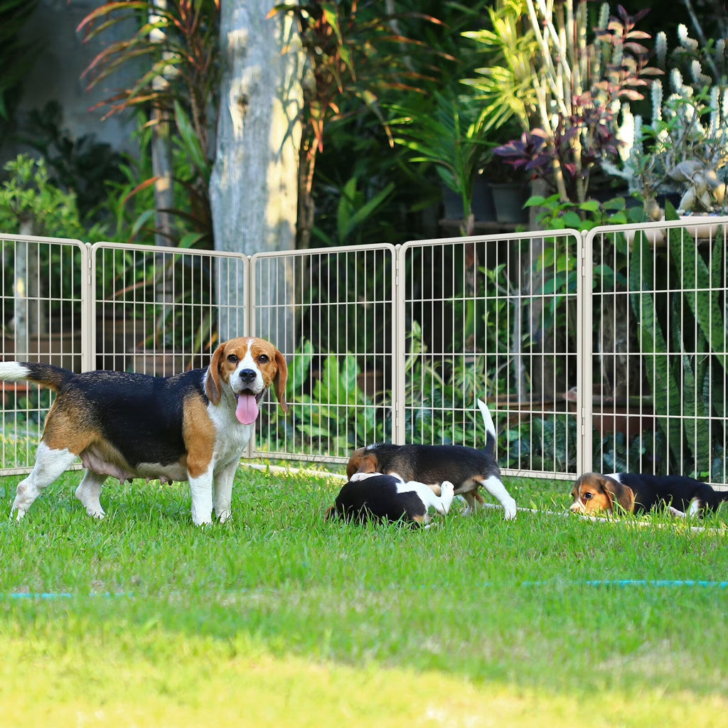 Aster Dog Playpen Designed for Courtyard, RV Camping, 32" 8 Panels for Medium Dogs, White