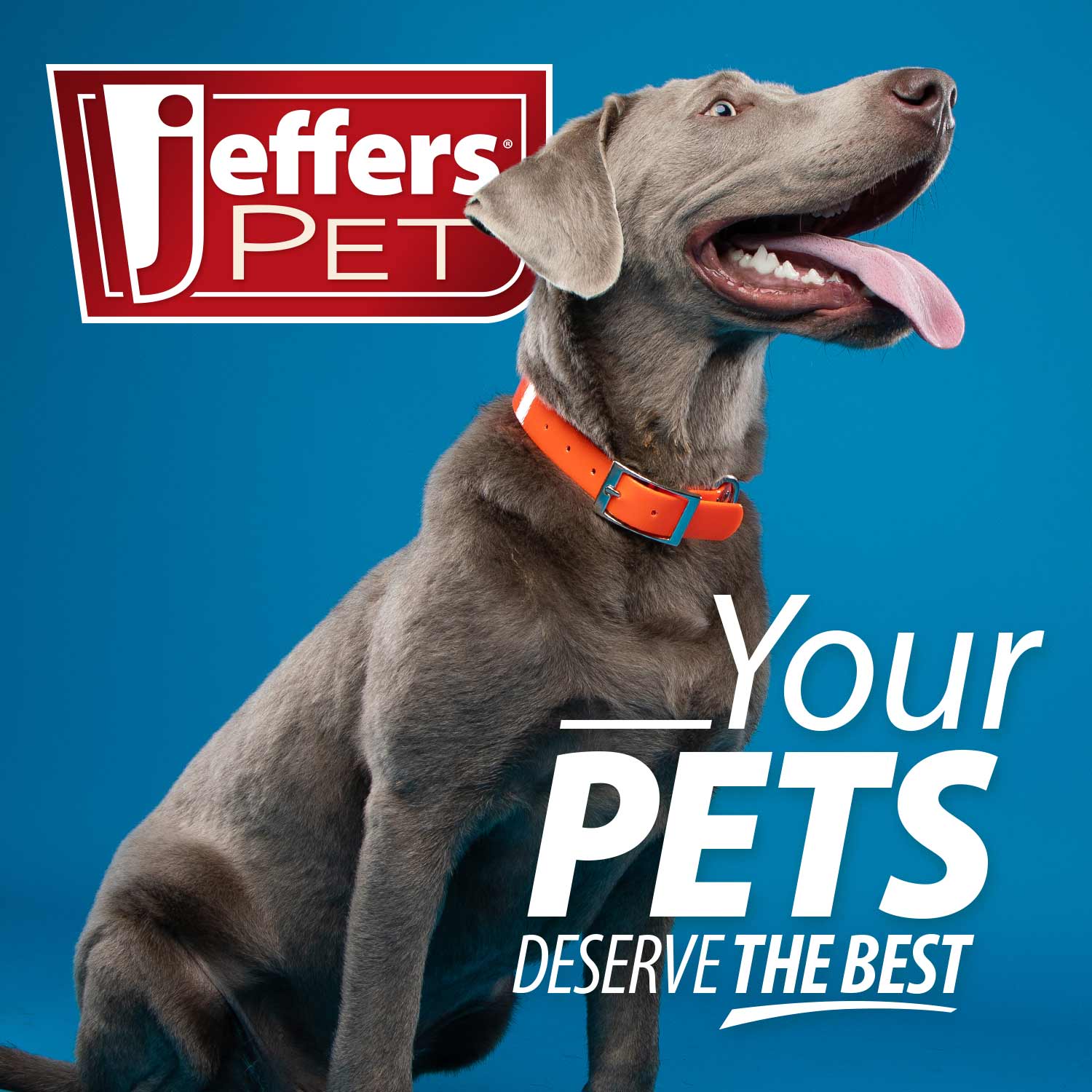 Jeffers Magic Spring Teeth Pet Grooming Comb