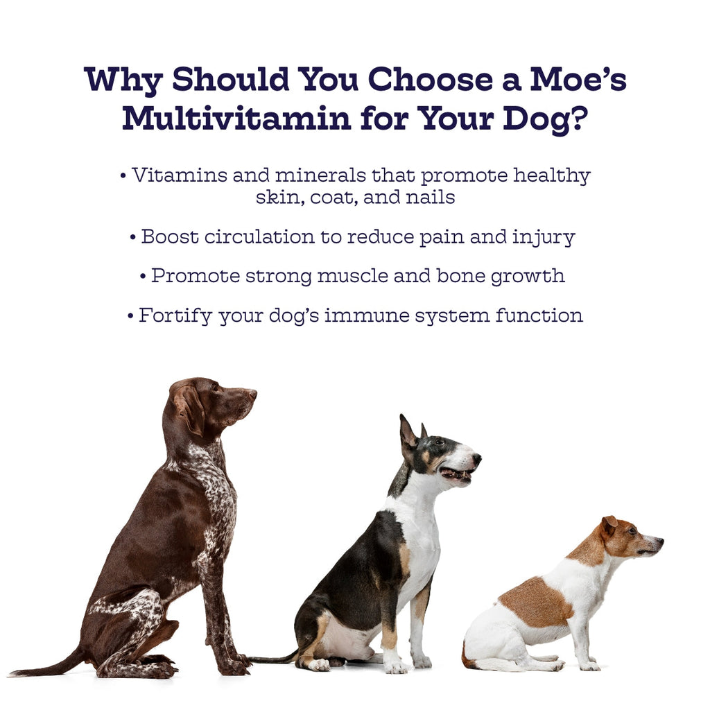 Multi-Plus Chews
