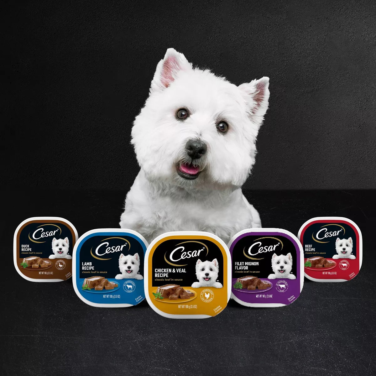 Cesar Variety Pack with Classic Loaf in Sauce Small Breed Wet Dog Food - 3.5Oz/12Ct