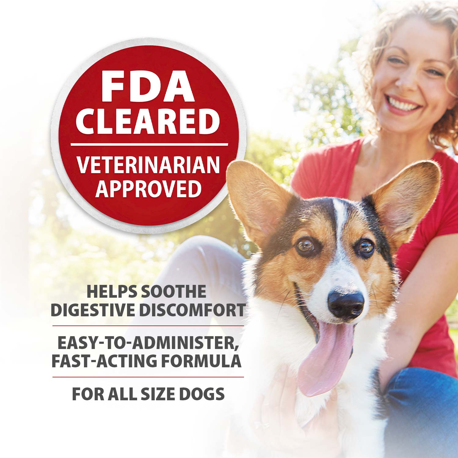 Jeffers Diawin Digestive Support for Dogs – Bismuth Tummy Relief for Diarrhea